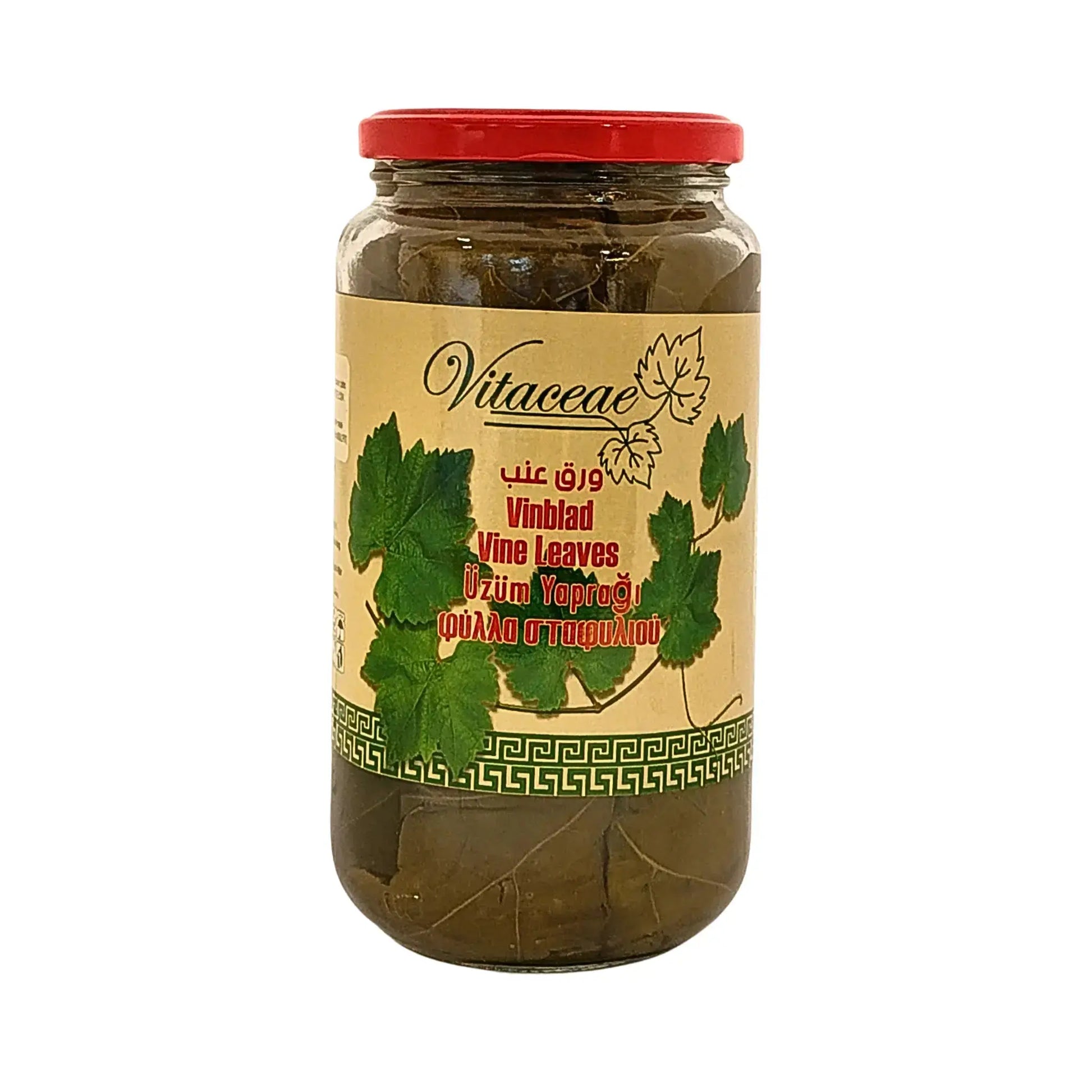 Glasburk med inlagda vinblad Vitaceae, röd lock, orientaliska ingredienser.